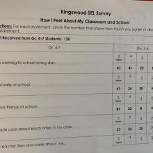 Kingswood SEL Intermediate Survey Results