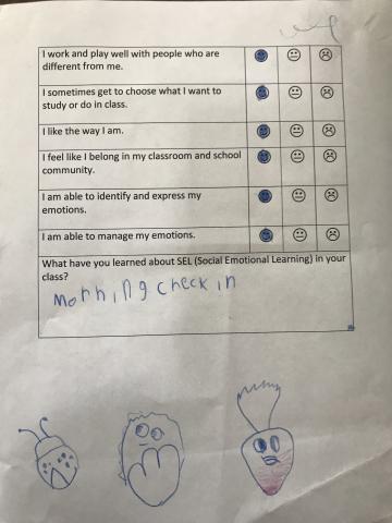 Primary SEL Student Self Assessment